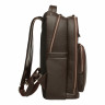 Мужской кожаный рюкзак Blackwood Garrard Brown 1150302 фото 3 &mdash; 2chemodana