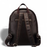 Мужской кожаный рюкзак BRIALDI Pico BR19862EI relief brown фото 3 &mdash; 2chemodana
