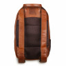 Мужской кожаный рюкзак Ashwood Leather 1663 Chestnut фото 3 &mdash; 2chemodana