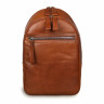 Мужской кожаный рюкзак Ashwood Leather 1663 Chestnut фото 1 &mdash; 2chemodana